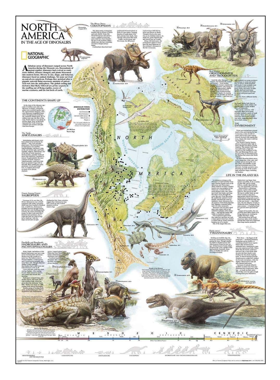 Amazon.com : National Geographic: Dinosaurs of North America Wall
